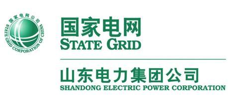 山东电工电气集团